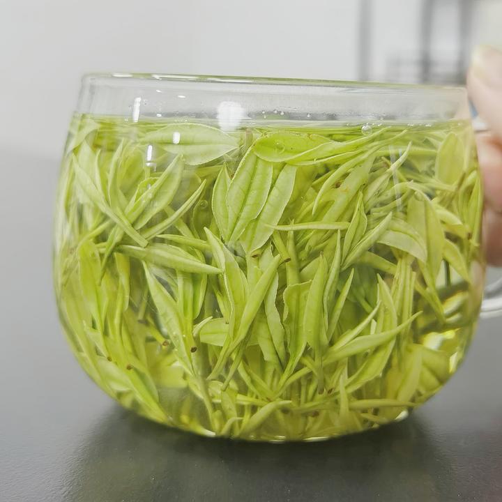 2025安吉母品极白天荒坪原产地白茶鲜爽正味浓兰香送礼明前茶绿茶