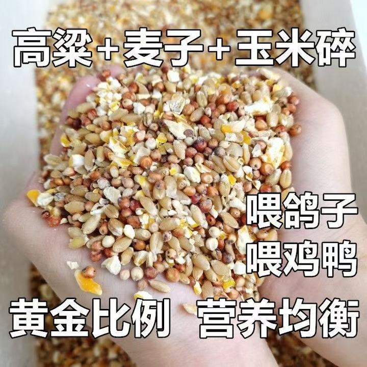高粱小麦玉米碎混合喂鸡鸭鹅鸽子粮兔猪仓鼠等家畜微石子介意勿拍