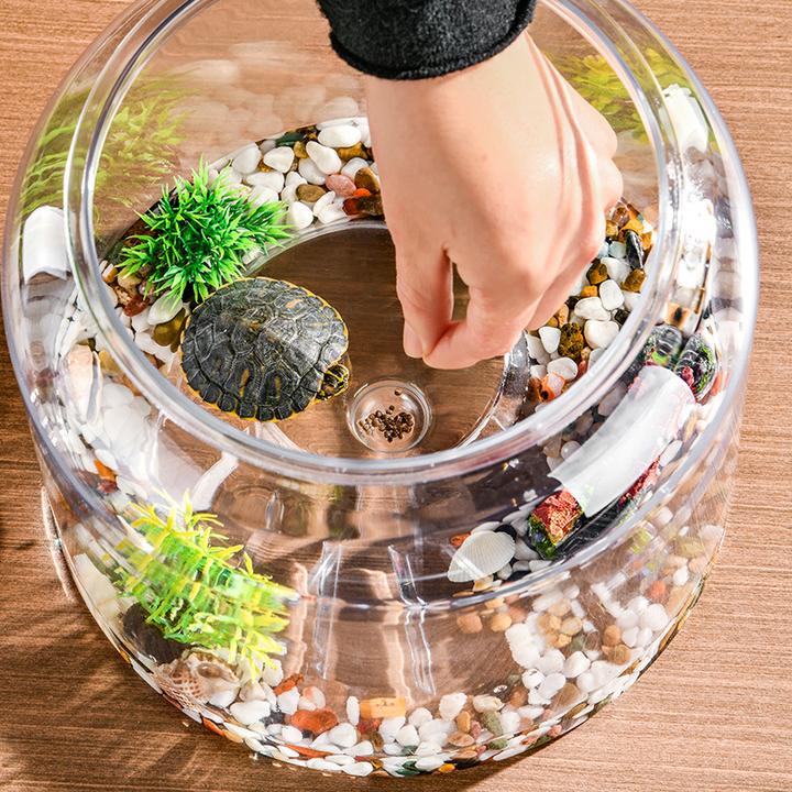 透明乌龟缸客厅鱼缸爬虫缸塑料微景观造景乌龟饲养缸寄居蟹生态缸