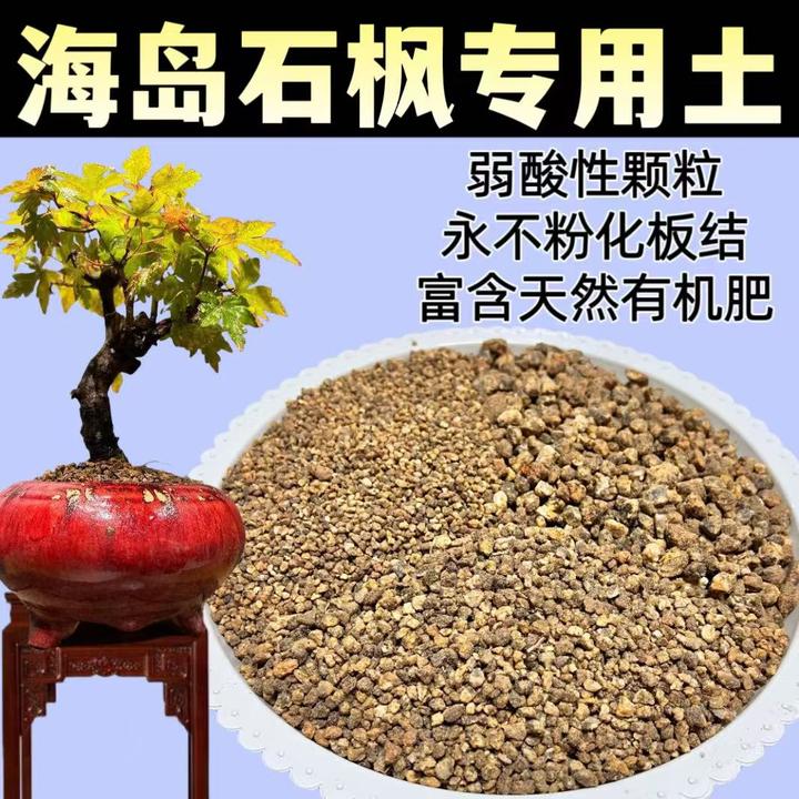 海岛石枫用盆栽风化土下山生桩发根熟桩换土颗粒不粉化板结营养土