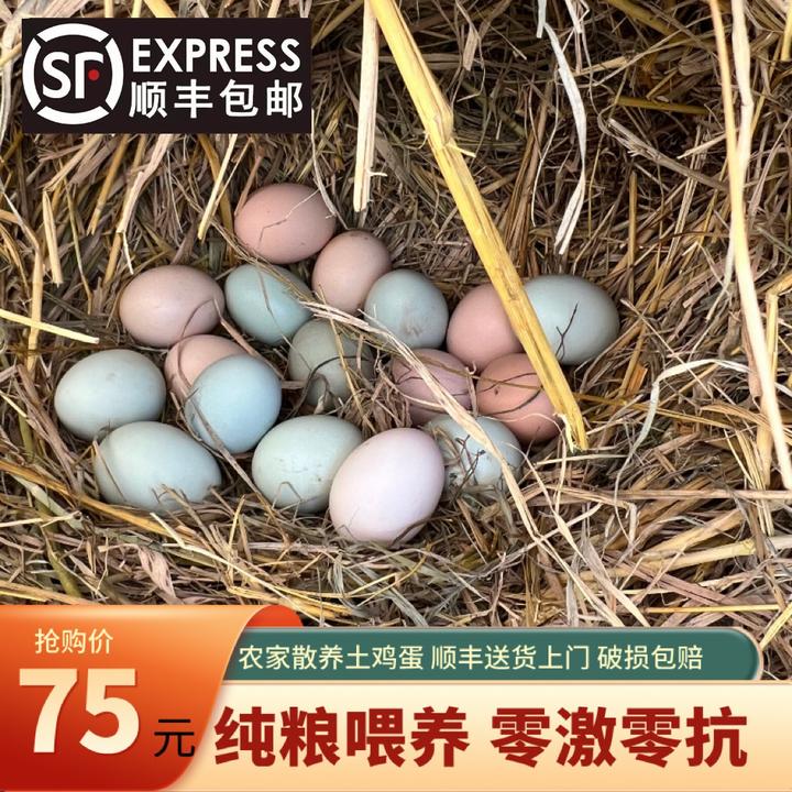 【正宗土鸡蛋】农家纯粮散养土鸡蛋鲜鸡蛋新鲜土鸡蛋50枚40-50克