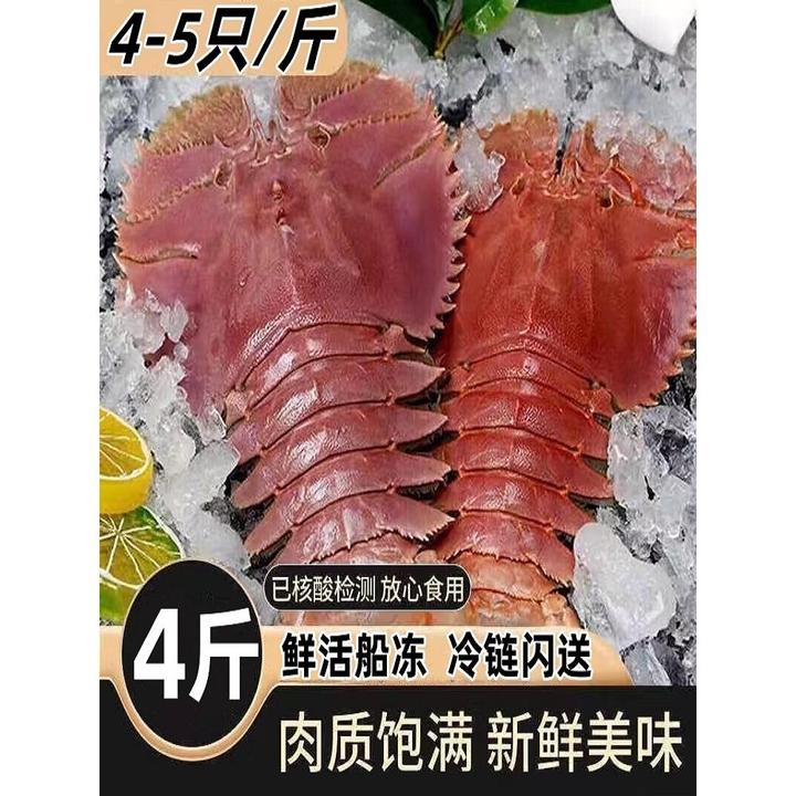 鲜活海捕特大扇贝野生九齿虾新鲜冷冻海鲜琵琶虾大虾