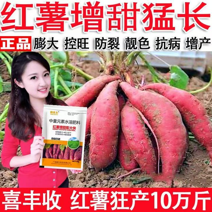 红薯控旺膨大素红薯专用肥地瓜增产叶面肥白粉病锈病红薯病全治