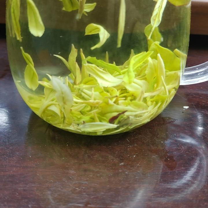 明前招牌A299经典奶白皇金芽2025新茶黄金芽正宗茶叶一级奶香味浓