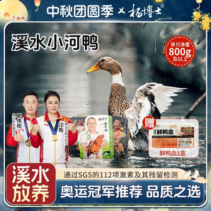 【溪水小河鸭送原切童子鸡】杨博士溪水放养小河鸭土鸭子新鲜现杀