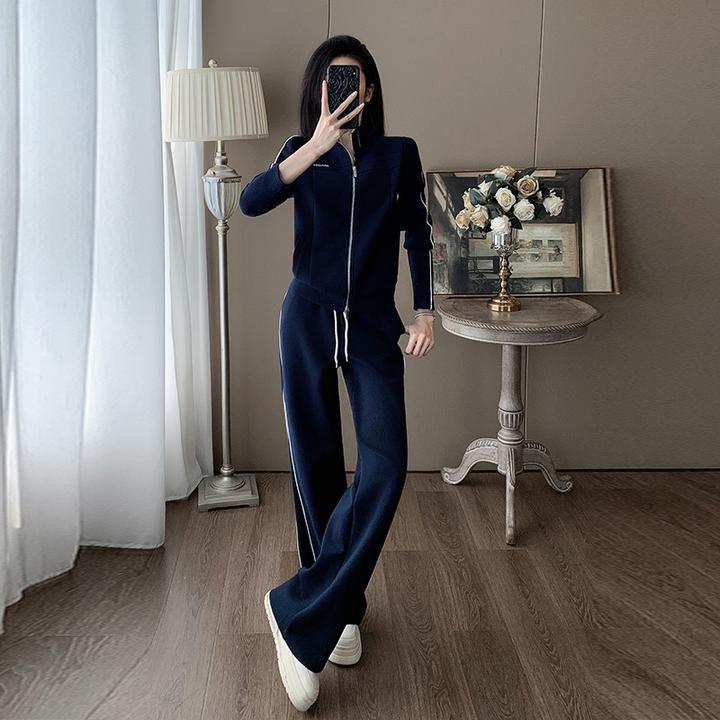 高级感时尚休闲套装女春秋宽松设计感立领双拉链卫衣阔腿裤两件套