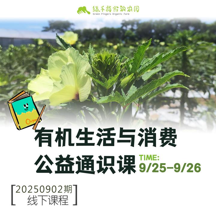 有机生活与消费公益通识课程