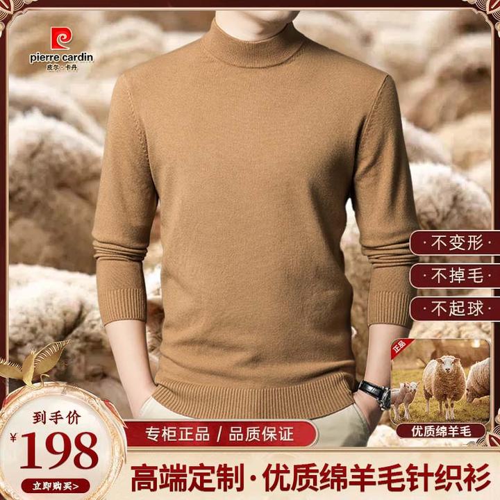 皮尔卡丹优质羊毛衫秋冬款男士套头半高领休闲百搭纯色织打底衫