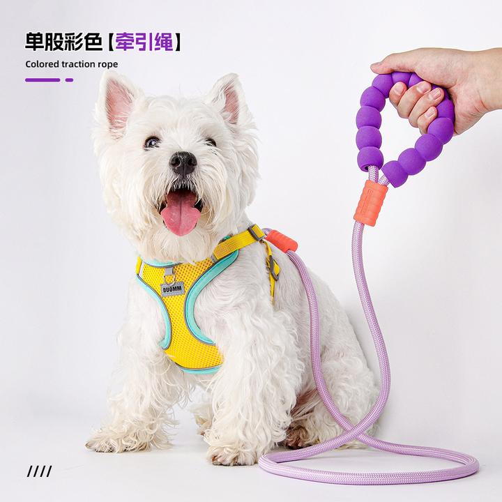 朵猫猫狗狗牵引绳遛狗绳柴犬柯基中大型犬防爆冲宠物遛狗绳狗链子