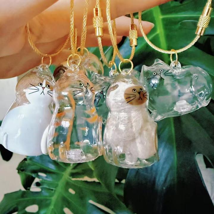 【猫狗毛发收纳合集】透明猫毛收纳盒毛发存放胶囊纪念钥匙扣挂件