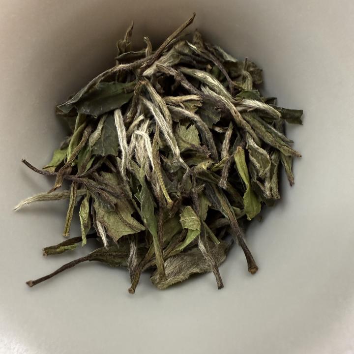 【华茶一号-2023荒野白牡丹】花香馥郁 汤感甜柔