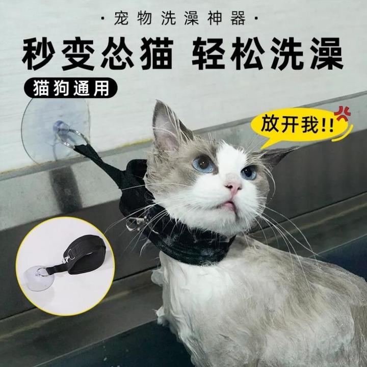 猫咪洗澡神器狗狗洗澡固定器宠物剪指甲防抓咬吸盘牵引绳宠物用品