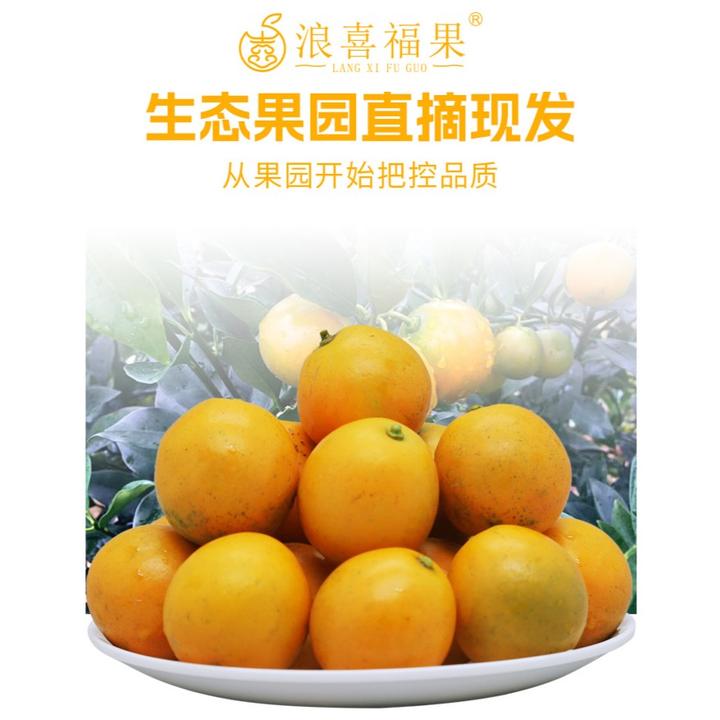 融安滑皮金桔一号果（13-20颗/斤）
