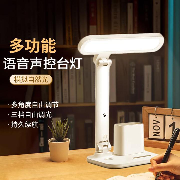 大学宿舍学习台灯家用充电语音多功能笔筒书桌写作业儿童学生专用