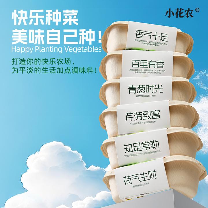 儿童蔬菜种植小盆栽种子幼儿园植物生长观察实验套装玩具伴手礼品