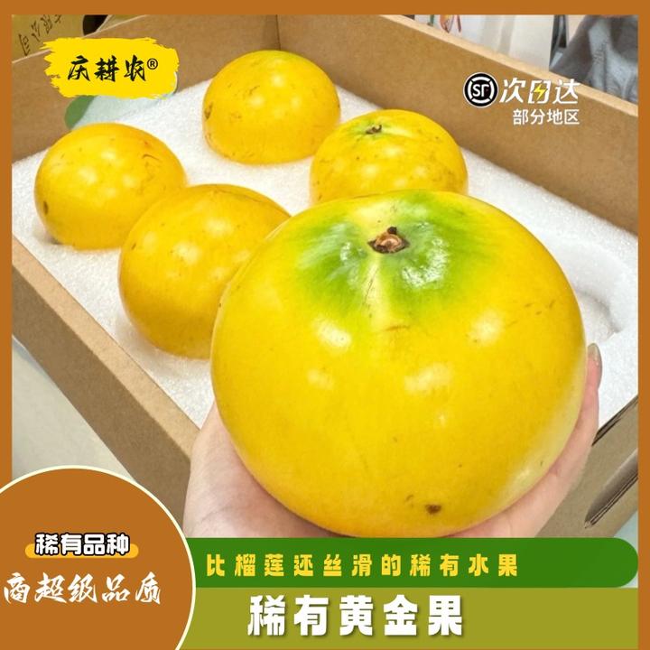 庆耕农稀有品种黄金牛奶果新鲜冬蜜黄晶果大果送礼顺丰1斤黄金果