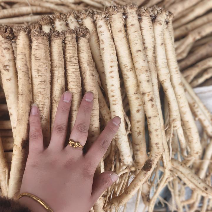 甘肃岷县原产地新鲜党参可泡酒煲汤