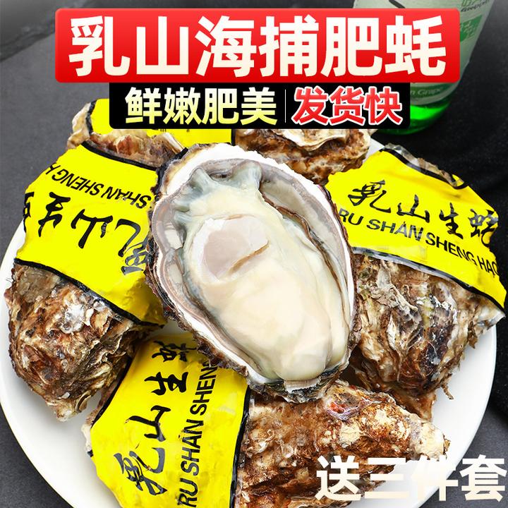 【精品乳山生蚝】5斤/9斤礼盒鲜活生蚝牡蛎活鲜海蛎子新鲜海鲜水产