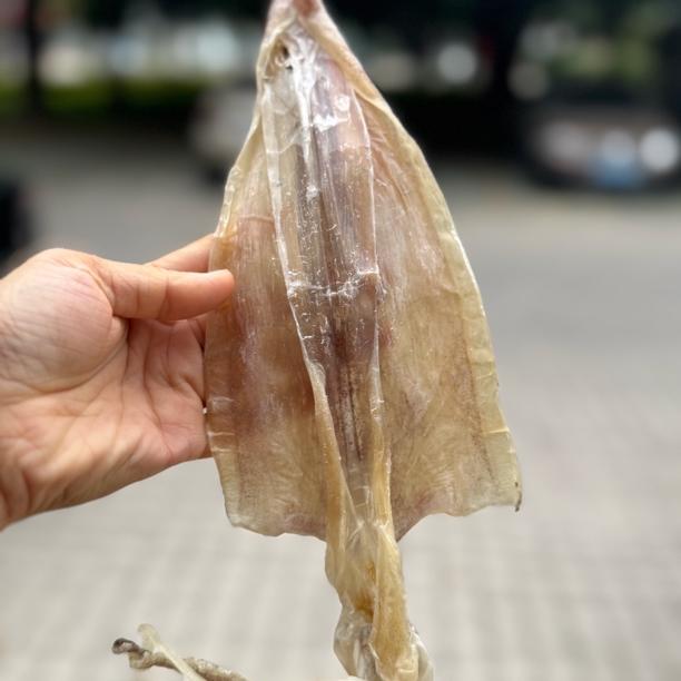 北海鱿鱼干北部湾鱿鱼