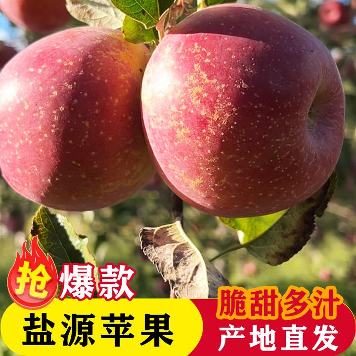 四川大凉山丑苹果盐源苹果5/8斤当季水果新鲜采摘