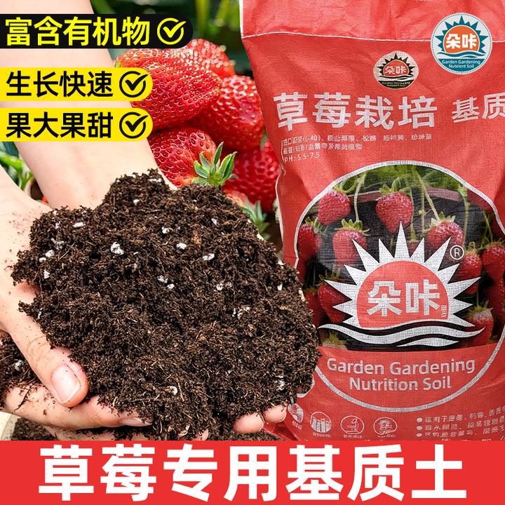 【基地专供】 草莓专用土有机营养土阳台盆栽土壤疏松透气轻质泥炭