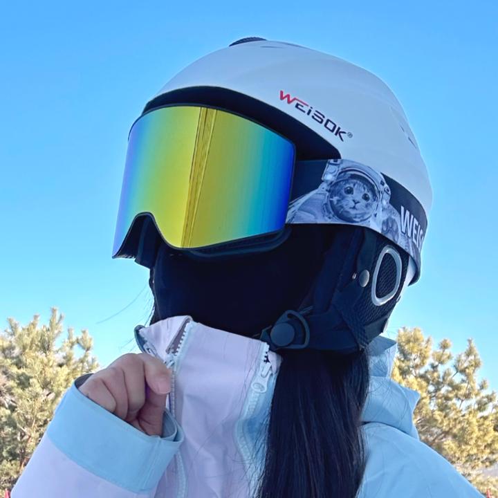 WEISOK滑雪眼镜柱面磁吸双层防雾可卡近视男女护目镜单双板滑雪镜