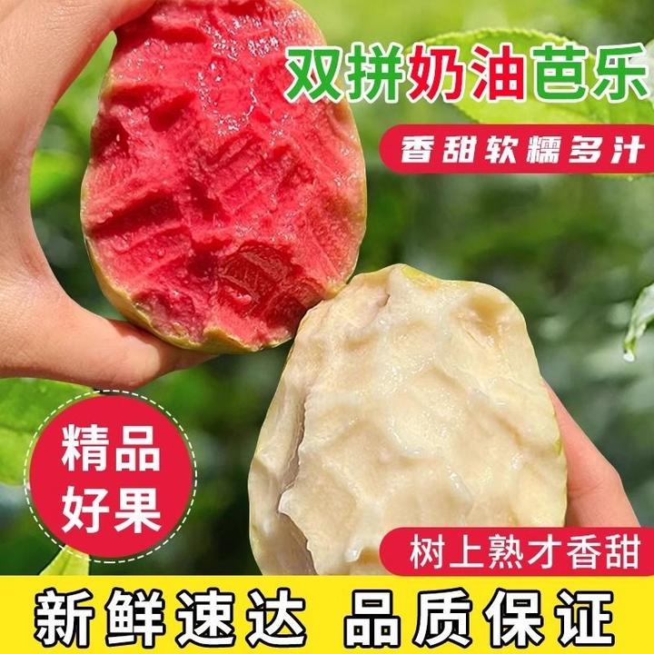 N福建红心芭乐奶油芭乐双拼冰淇淋口感应季水果新鲜现摘放软吃