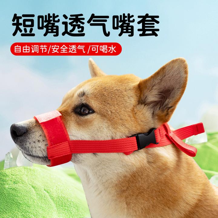 【宠大条】狗嘴套透气嘴罩防咬叫乱吃短嘴狗止吠器中小型犬泰迪嘴套