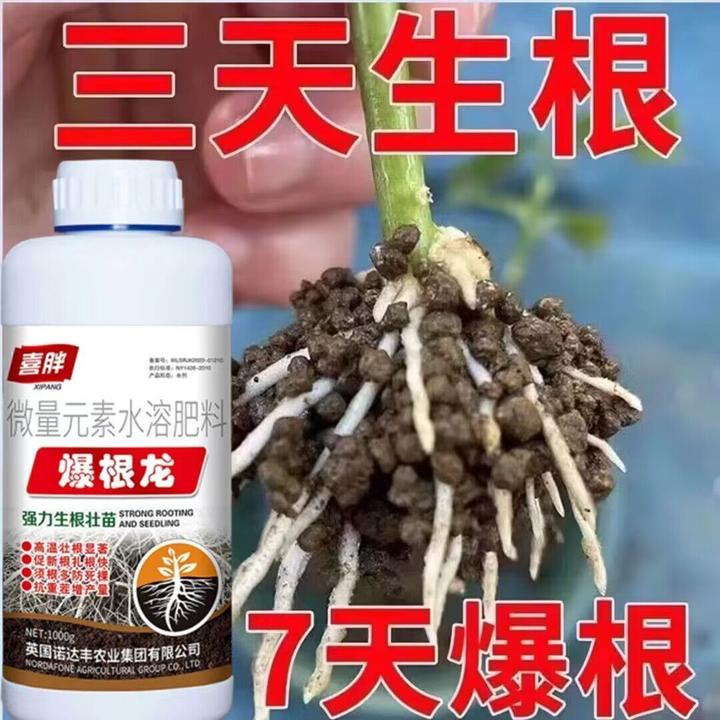 进口生根粉剂速效植物生根液大树移植苗木扦插月季果树生根
