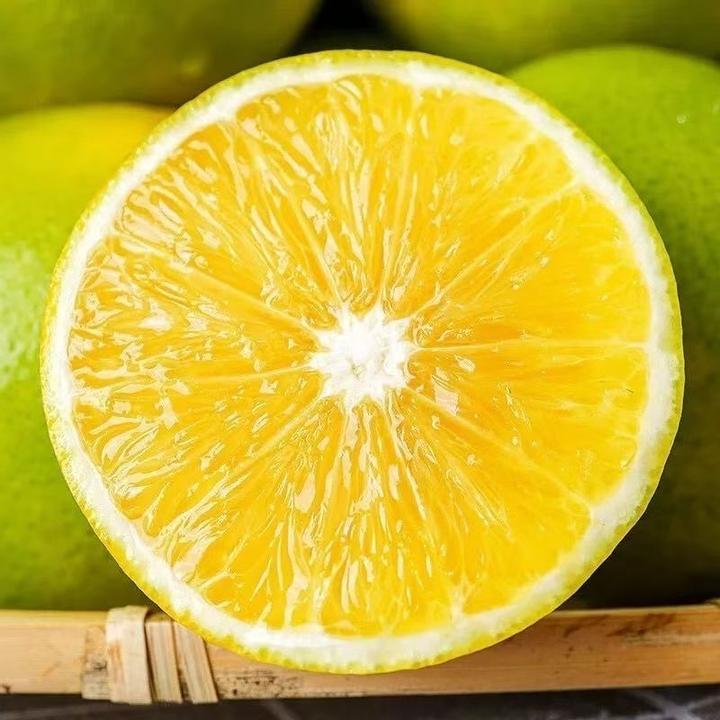 云南元江红河谷早熟冰糖橙甜蜜多汁当季应季新鲜水果现摘发货