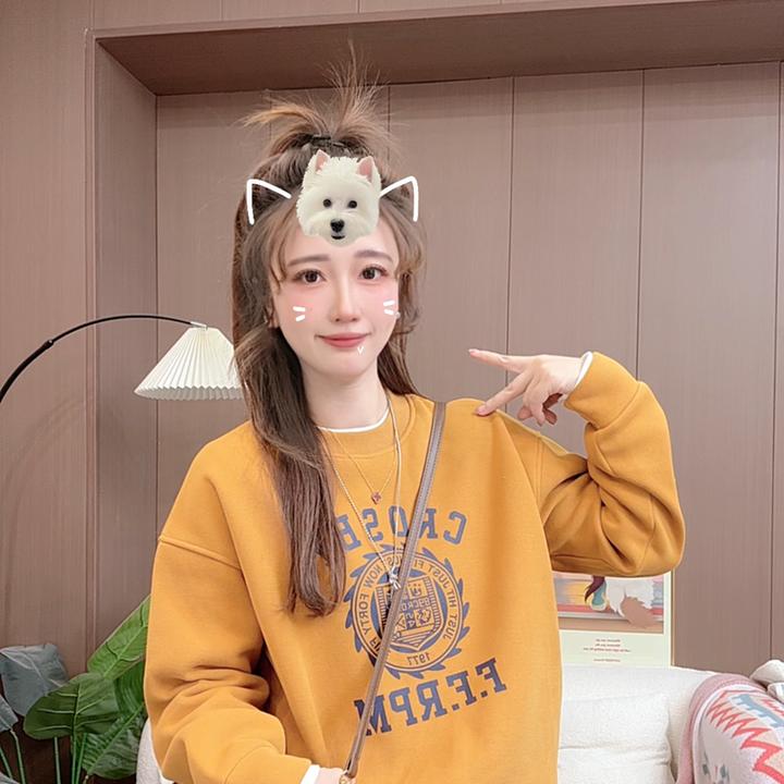 冬季新款加绒加厚【风火轮】圆领常规款印花卫衣 2650 X