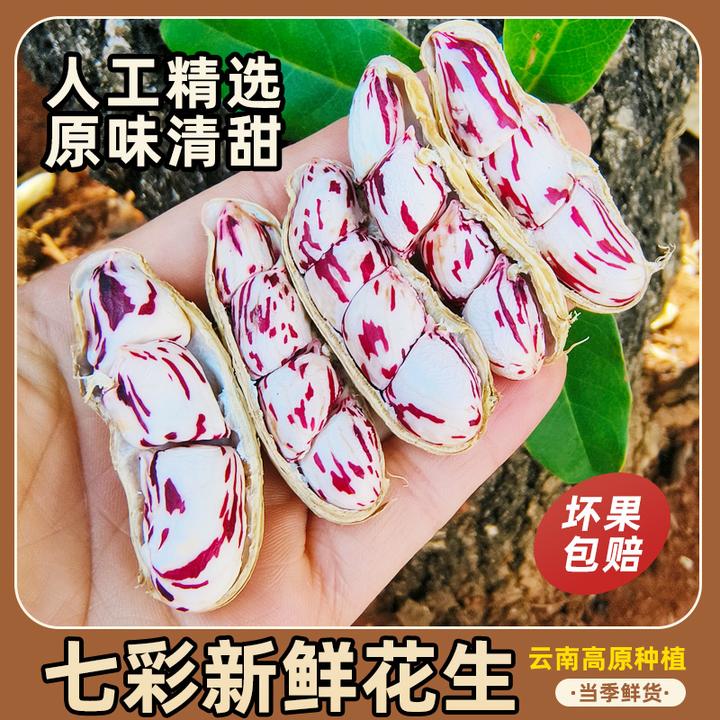 【现货】云南新鲜七彩花生 1斤起颗粒饱满水果花生 手工挑