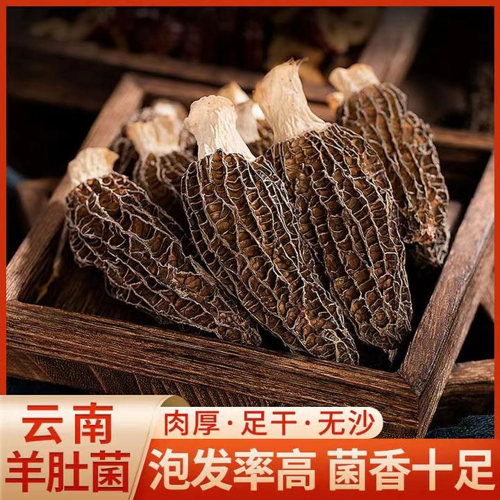 【新货上市】羊肚菌干货大个头煲汤肉厚火锅食材云南羊肚菌肉厚