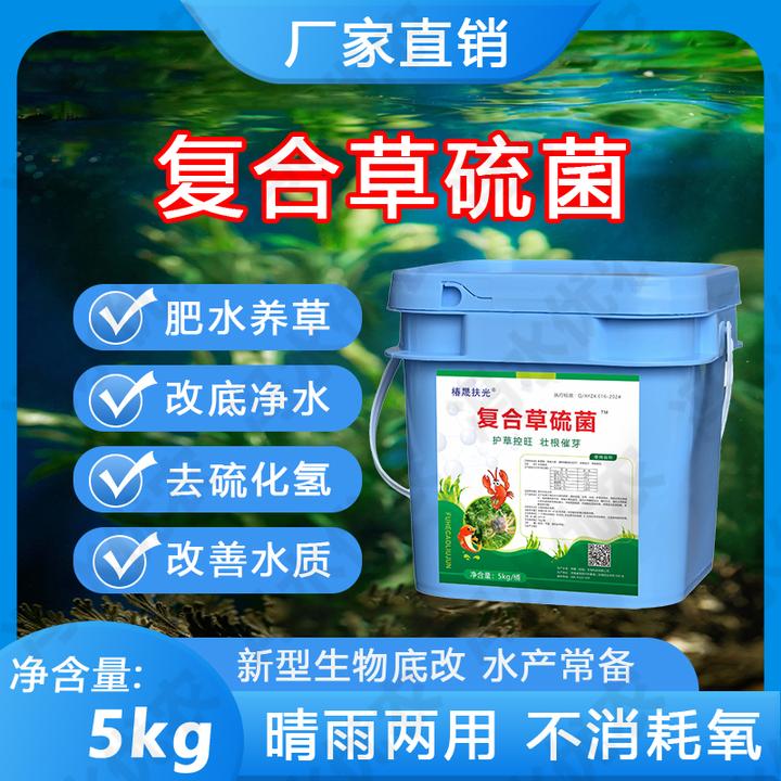 粪硫菌调水改底净草养草生根分解黑泥臭泥氨氮亚盐硫化氢压蓝藻
