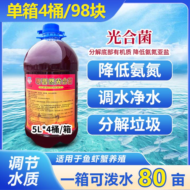 粤晋然光合菌菌种水产养殖专用鱼虾蟹调水净水分解垃圾扩培培养基