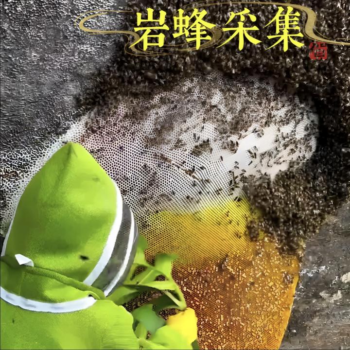 【悬崖黑蜜】中缅边境热带雨林野生蜂蜜 天然纯蜂蜜黑蜂蜜 顺丰发货