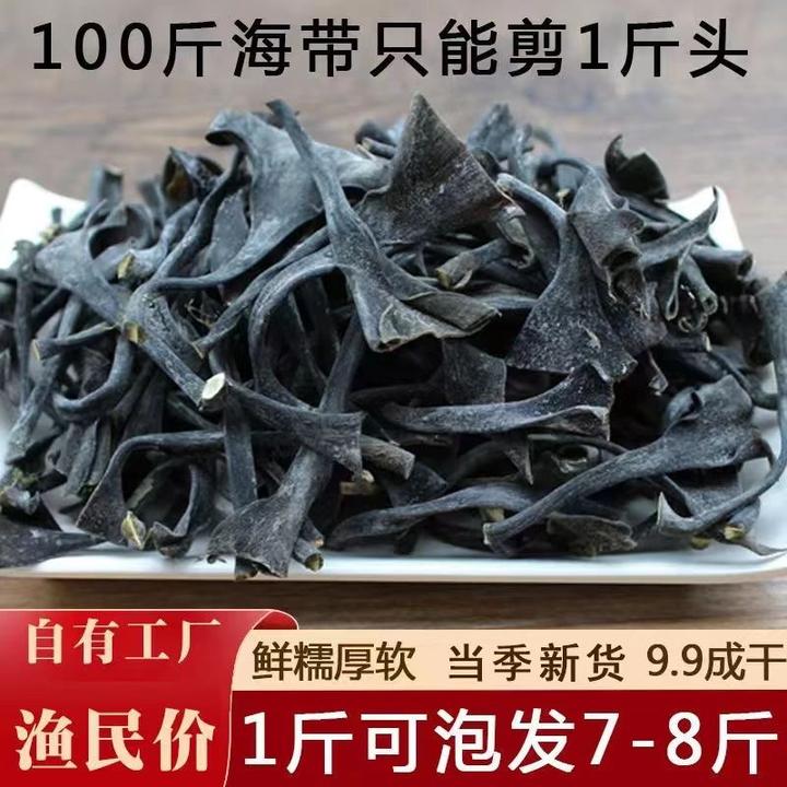 小杨霞浦特厚海带头干货新鲜日晒干海带根厚实软高倍泡发