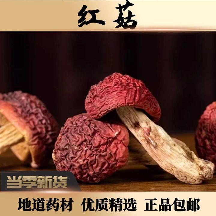 野生红菇250g克干货小红菇精选云南红菇一等品红菇红香菇荒山采摘