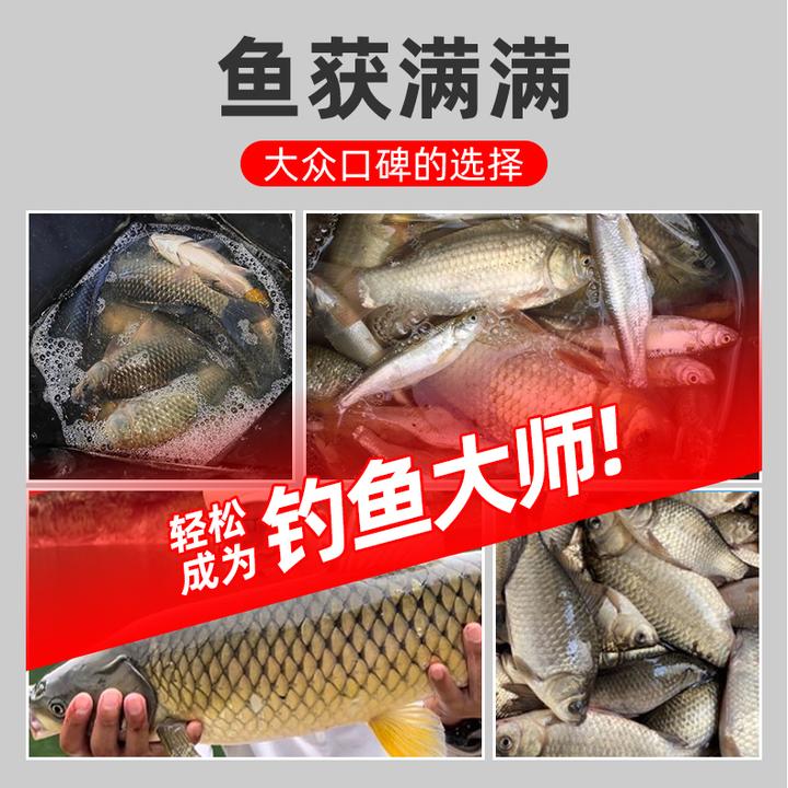 刘志强饵料钓鱼鱼饵全能腥全能香鱼饵料野钓鲫鱼专用鲤鱼钓鱼饵料