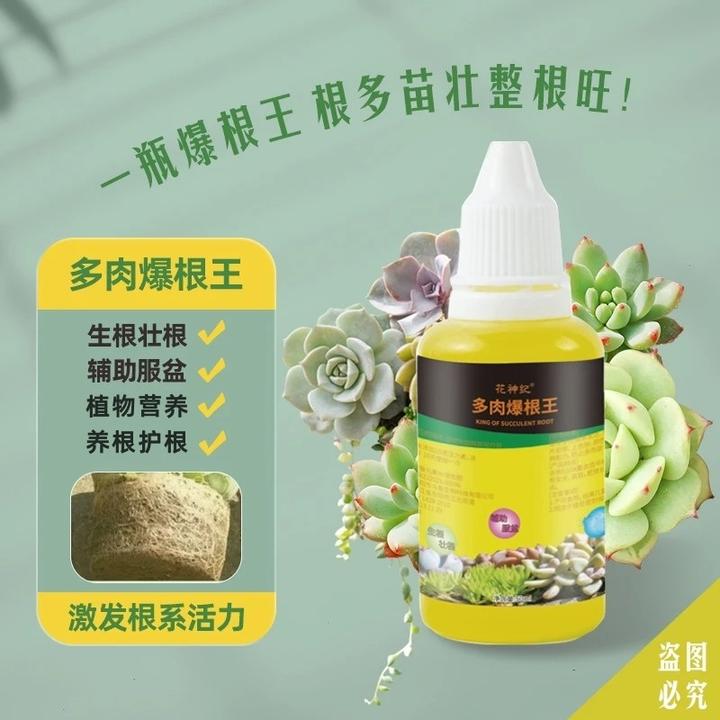 【多肉植物专用】多肉爆根王快速生根强力生根剂专用养花营养液