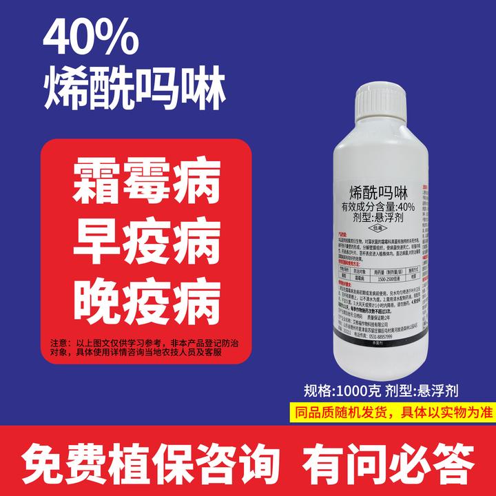 烯酰吗啉杀菌番茄辣椒茄子苦瓜甜瓜荔枝西瓜霜霉病早疫病晚疫病