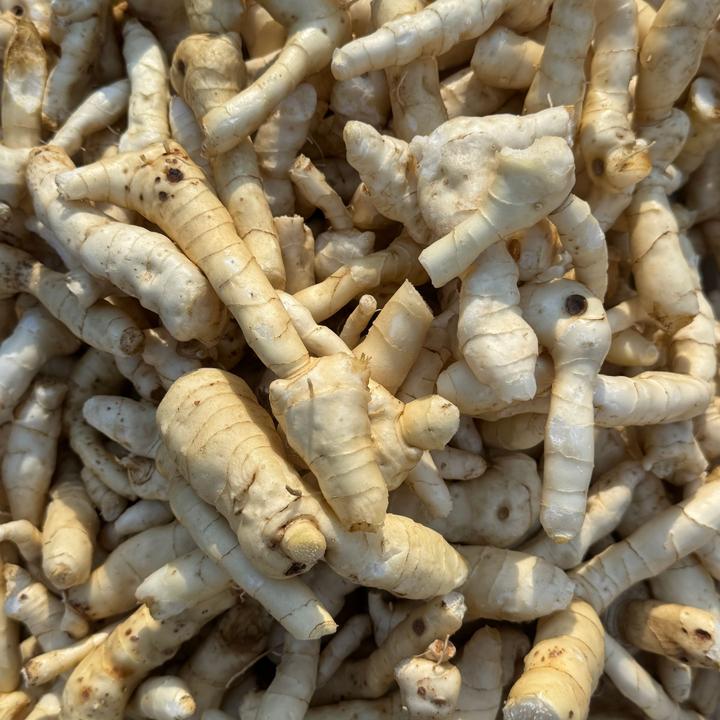 仙人余粮下山鲜货5000克纯天然健康食品