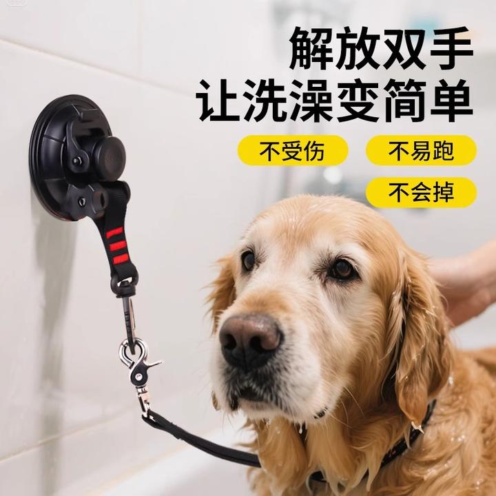 宠物洗澡固定器美容桌吊绳猫咪洗澡神器牵引绳吸盘剃毛拴狗绑狗绳