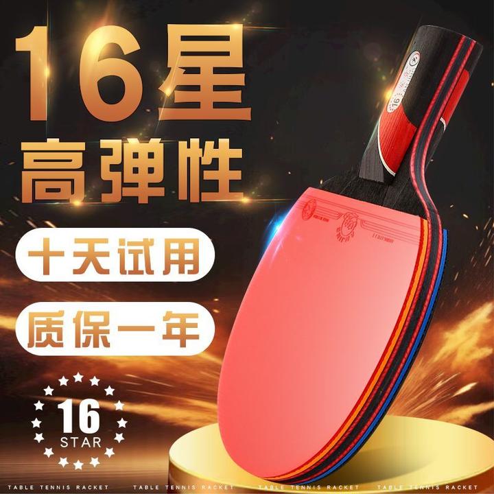 【16星】正版乒乓球拍比赛专用成人专业级手工短长柄横拍碳素直拍