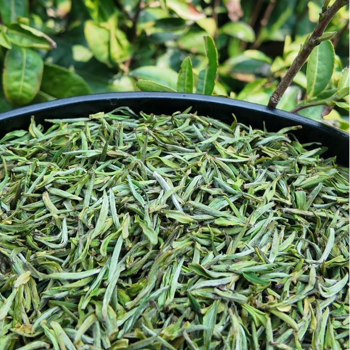 「开园头采·黄山土毛峰」纯正源头本地茶农茶厂 高级茶叶大山里直发