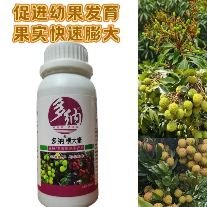 横大素 多纳横大素 荔枝促进幼果发育快速膨大