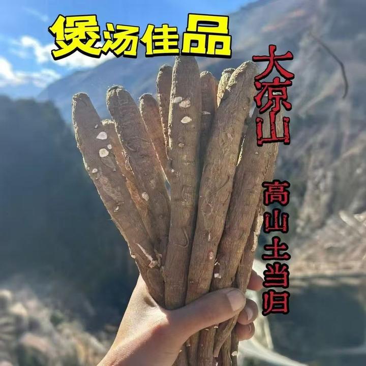 【现收山货】甜当归大凉山甜当归纯干山货土当归煲汤炖肉好吃的当归
