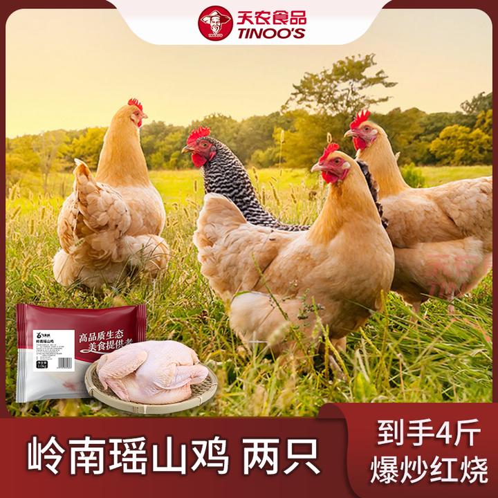 【天农】岭南瑶山鸡两只装单只净重1.0kg以上/只生鲜