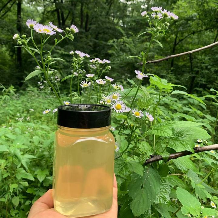 42度成熟椴树原蜜