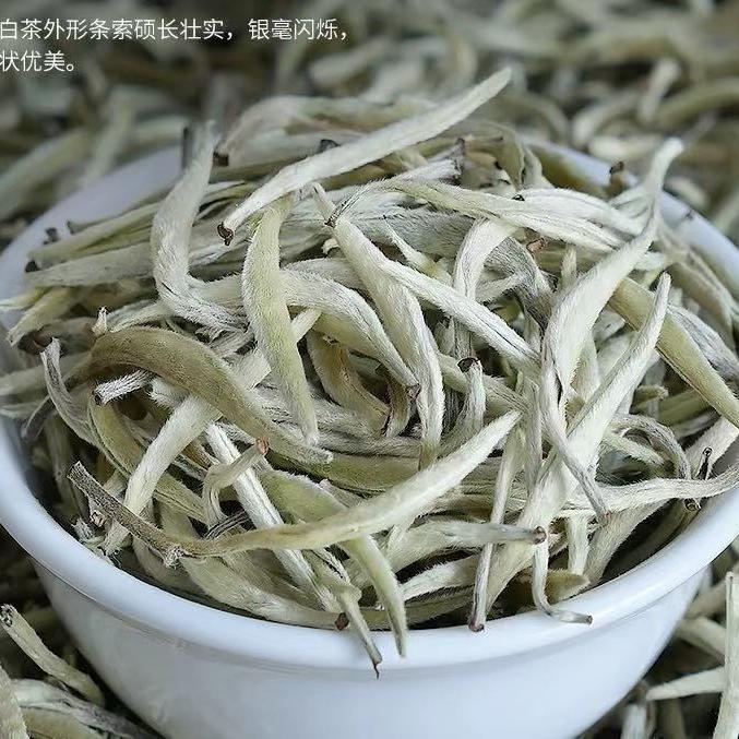 老挝古树茶白毫银针/白茶